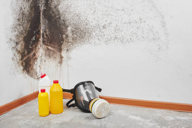 Best Residential Mold Inspection & Testing  in Essex Fells, NJ